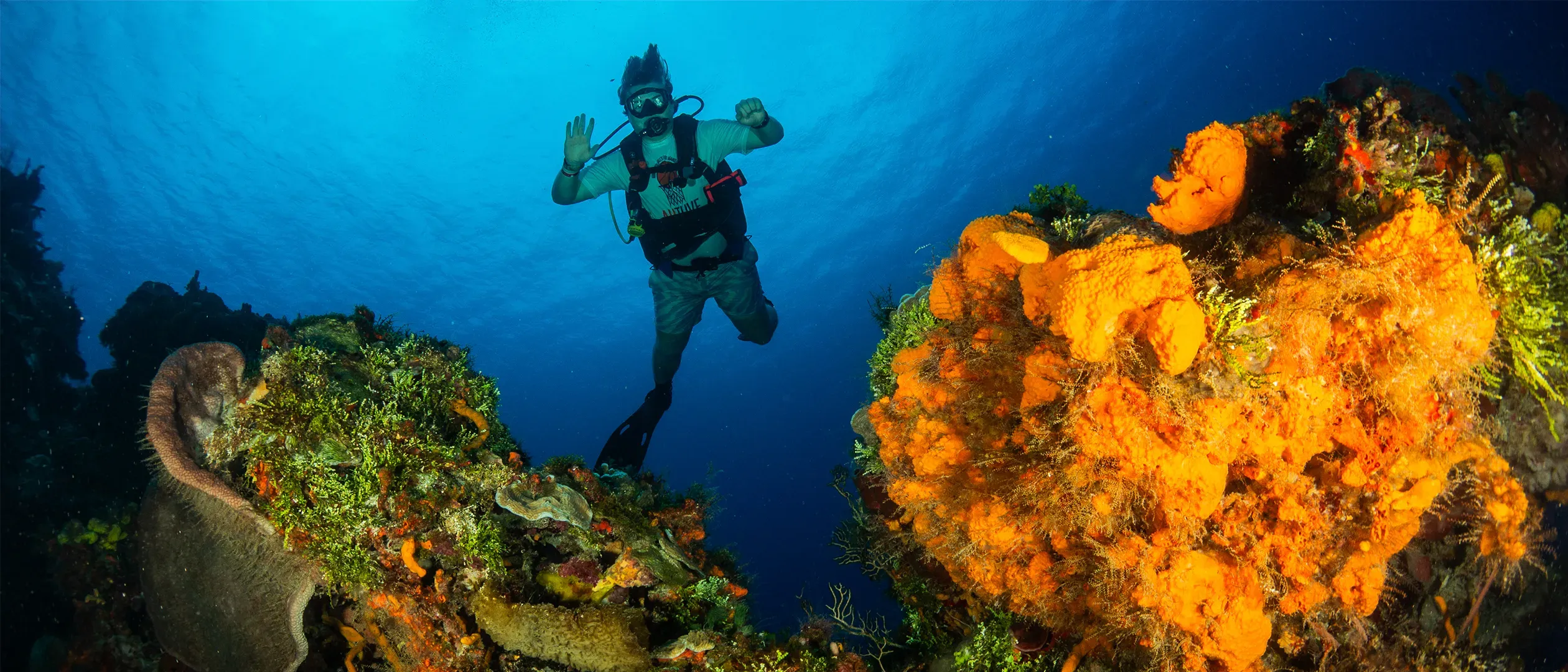 breathtaking-underwater-landscapes-aquasafari.webp