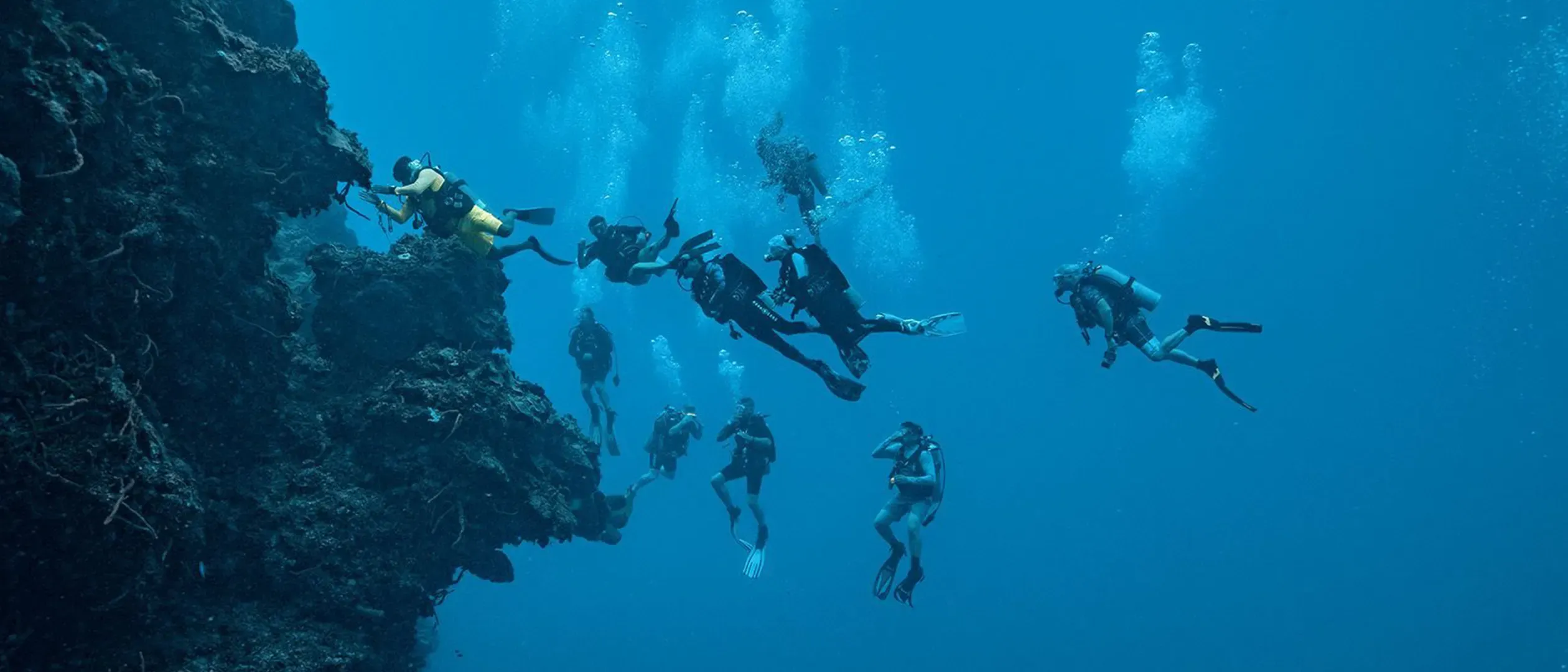 divers-padi-certification-aquasafari.webp