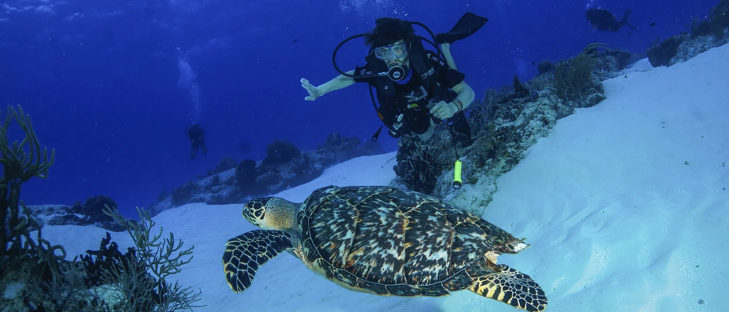 expert-guidance-aquasafari.webp