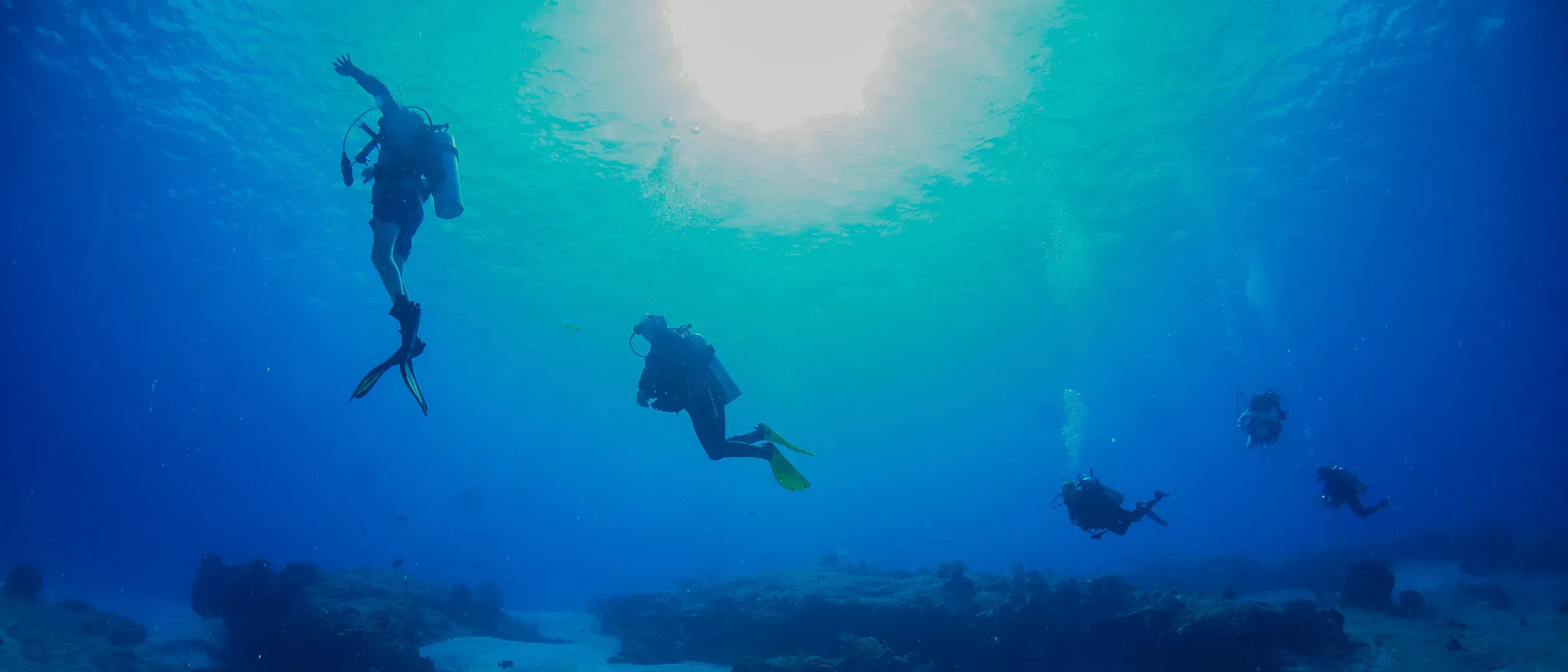 relax-diving-experience-aquasafari.webp