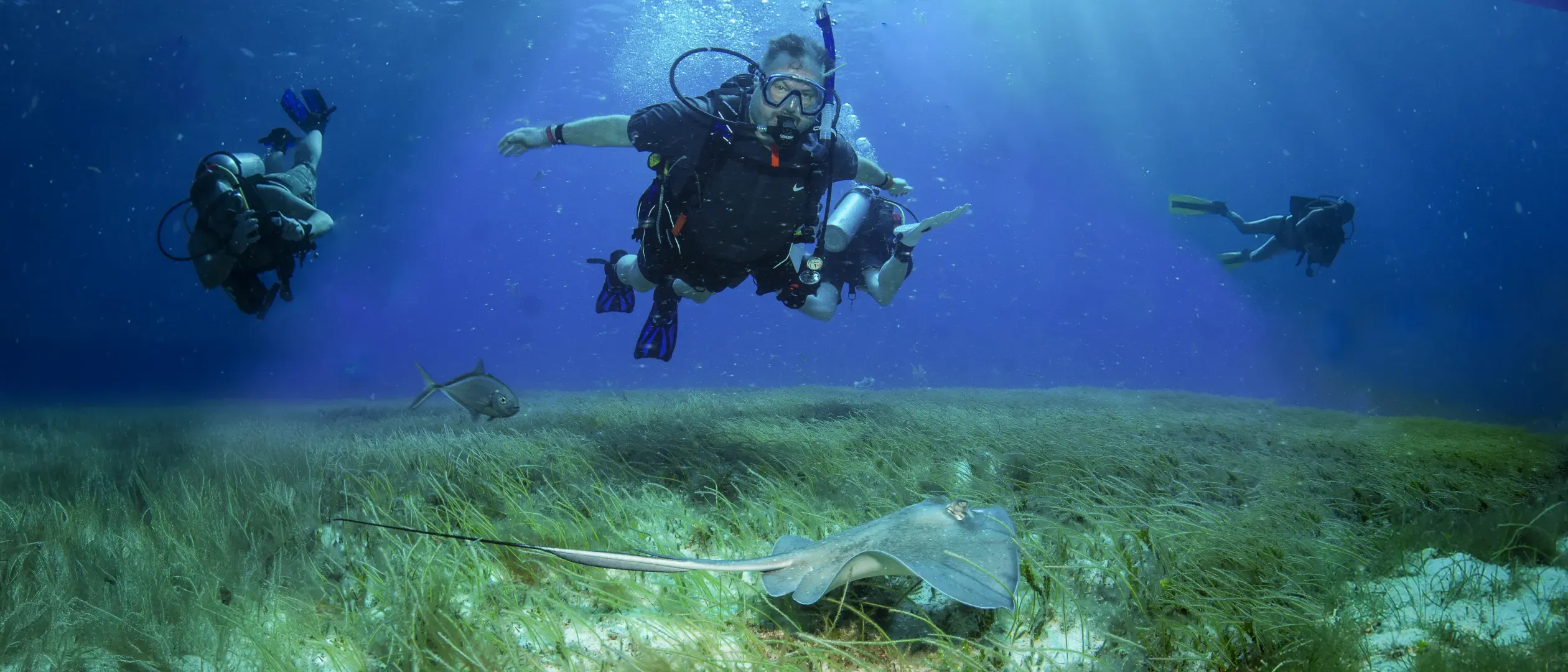 scuba-dive-experience-cozumel-palace-aquasafari.webp